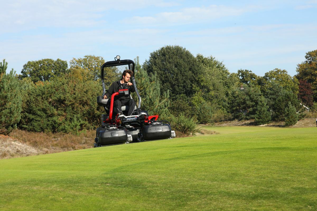 Fescue gras